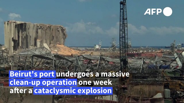 Bulldozers clear rubble at devastated Beirut port following mega-blast