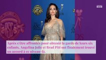 Angelina Jolie et Brad Pitt en plein divorce : la guerre reprend !