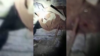 Pençe-Kaplan Operasyonu - PKK'ya ait çok miktarda mühimmat ele geçirildi