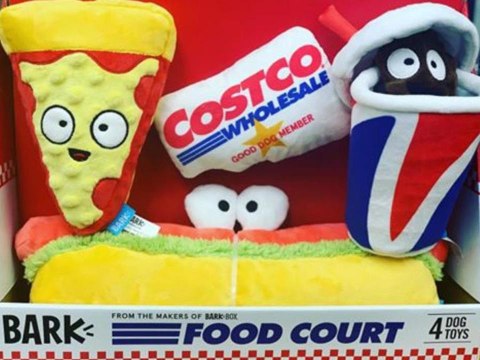 Costco Is Selling Dog Toys That Look Like Its Popular Food Court Items