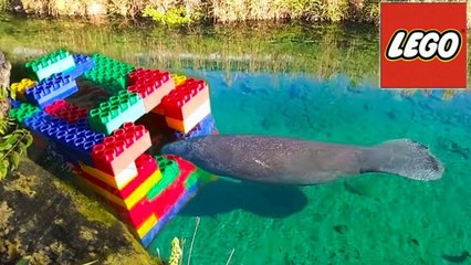 GIANT LEGO FISH TRAP Catches CANAL WHALE!
