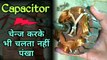 Capacitor change karke bhi chalta Nahin Hai pankha | ceiling fan coil check | ceiling Fan repair