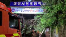 대전 서부초등학교 정문 위로 나무 쓰러져...다친 사람 없어 / YTN