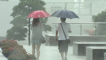 [날씨] 광복절·말복, 중부 막바지 장맛비...많은 곳 200mm↑ / YTN