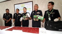 Two suspected drug pushers nabbed in Ipoh
