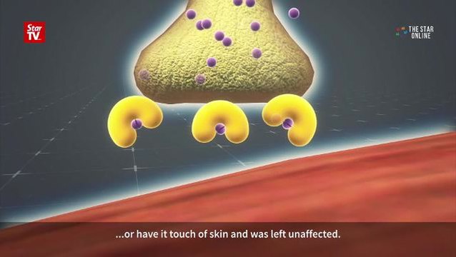 U.S., South Korea to blame for Jong-Nam murder, claims Pyongyang