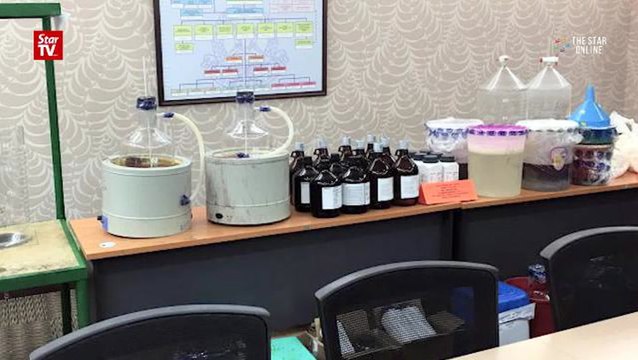 Cops bust drug lab in palm oil plantation