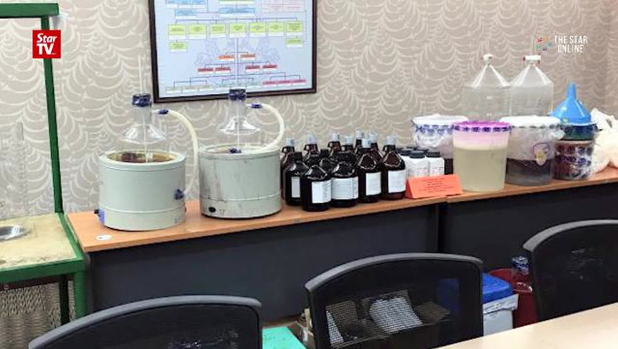 Cops bust drug lab in palm oil plantation