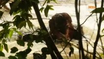 Orangutan rescued from river