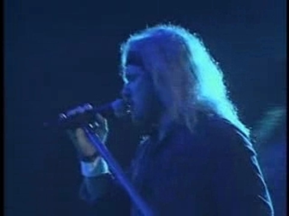 Lynyrd Skynyrd - We Ain't Much Different - Live