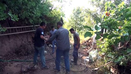 Bağ evindeki yangın ormanlık alana sıçradı