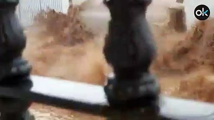 La lluvia provoca inundaciones en Sevilla