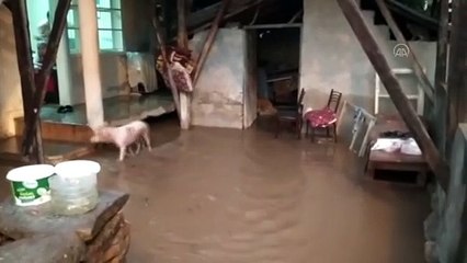 Şiddetli rüzgar ve sağanak hayatı olumsuz etkiledi - ADANA