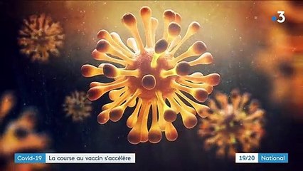 Covid-19 : la quête acharnée d’un vaccin