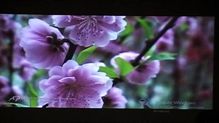 El Universo se domina por Conocimiento y Razonamiento de La Verdad por Amor. Conferencia 05ª Parte 2