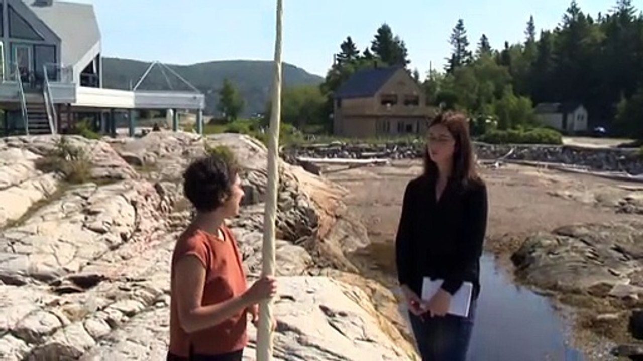 CH 11 Aout TOPO Narval dans le fleuve St-Laurent WEB