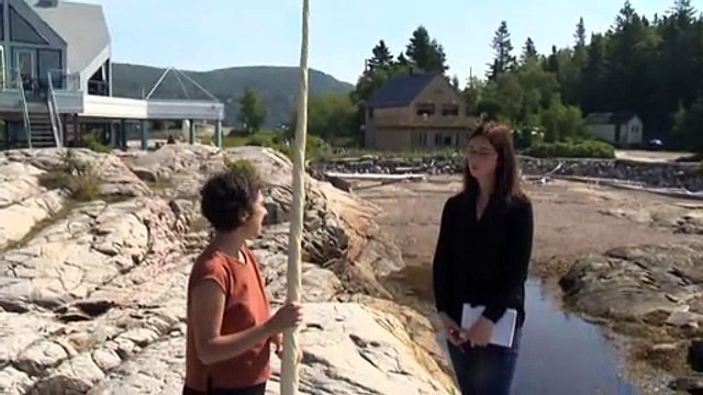 CH 11 Aout TOPO Narval dans le fleuve St-Laurent WEB