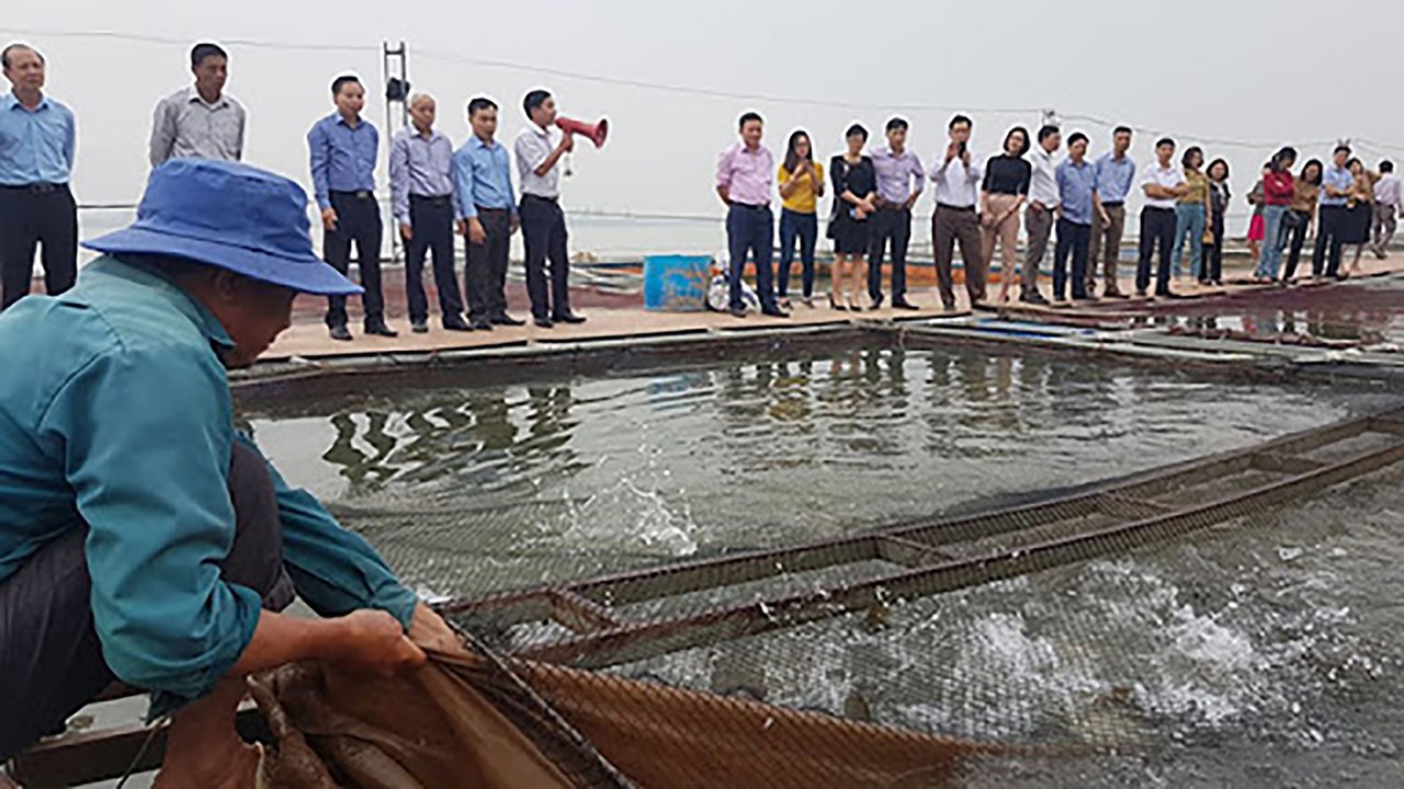Trang trại bạc tỷ của lão nông ngoại thành | VTC