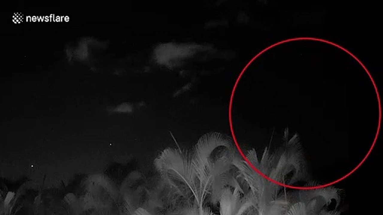 Perseid Meteor Shower Hits Hawaii video Dailymotion