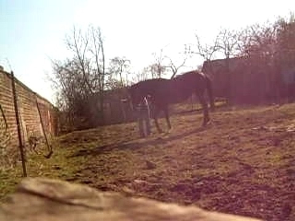 19.02.08 011