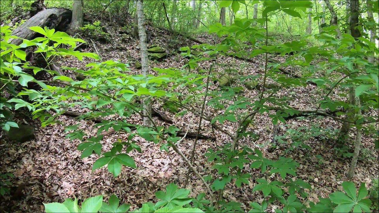 New To Geocaching