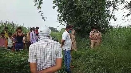 लखीमपुरखीरी: खेत में मिले प्रतिबंधित पशुओं के अवशेष, मचा हड़कंप