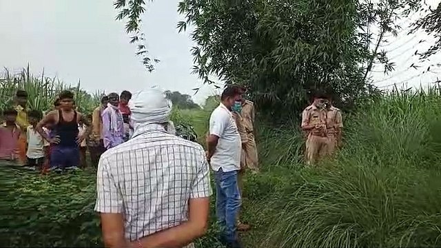 लखीमपुरखीरी: खेत में मिले प्रतिबंधित पशुओं के अवशेष, मचा हड़कंप