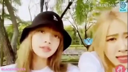 BLACKPINK Funny Moments with English Subtitles