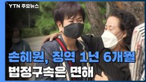 '부동산 투기 의혹' 손혜원에 징역 1년 6개월...법정구속은 면해 / YTN
