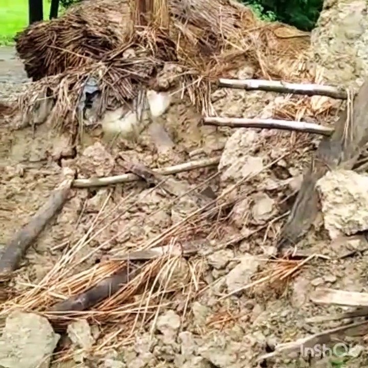 बारिश में ढहा कच्चा मकान, मलबे में दबकर भैंस की...