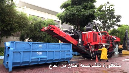 سنغافورة تتلف تسعة أطنان من العاج بمناسبة اليوم العالمي للفيل