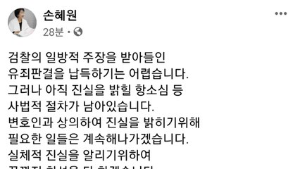 '부동산 투기 의혹' 손혜원에 징역 1년 6개월...법원 "중대한 비리" / YTN