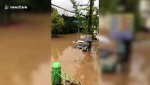 Cars submerged in South Korea floods