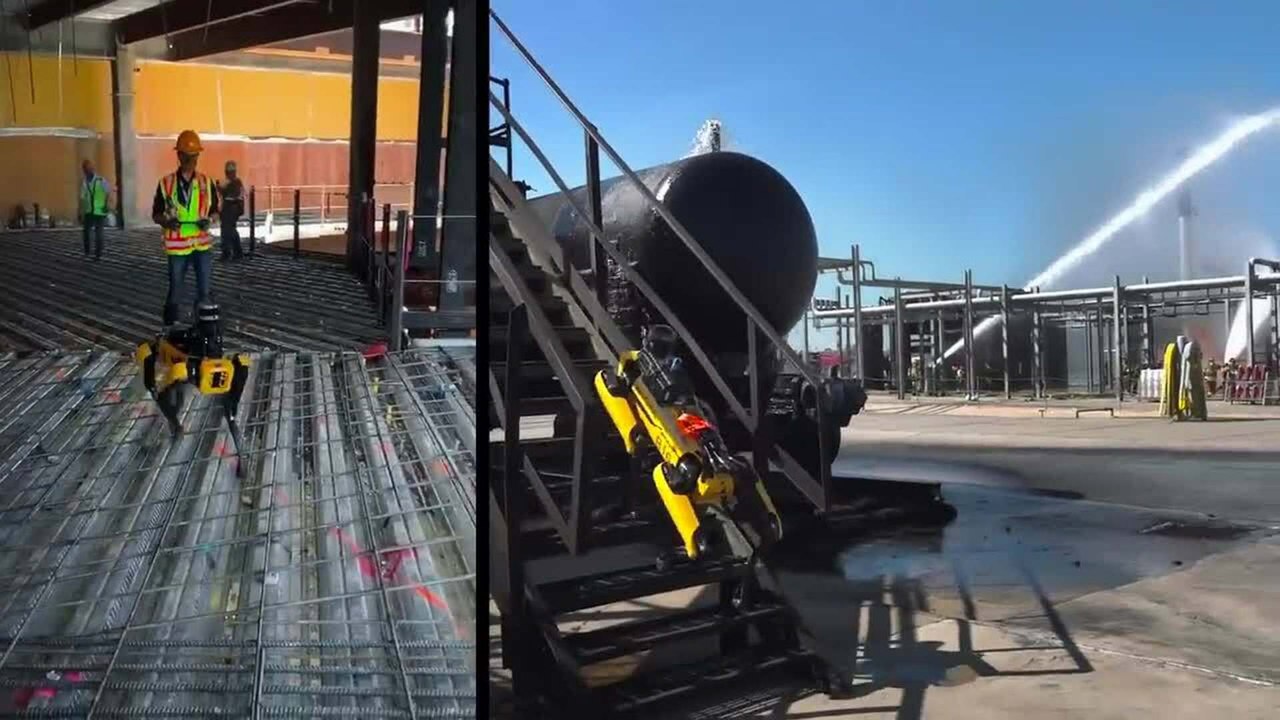 ‘Chó robot’ giá 1,7 tỷ đồng | VTC