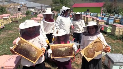 Coğrafi işaretli çiçek balında 'en tatlı heyecan' başladı - ARDAHAN