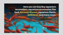 Micro Aquatic Shop Aquarium Supplies Online Australia