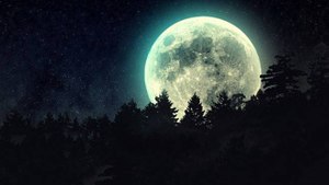 Les Mystères de la Nature /Comment se faire désenvoûter ?  avec Abou Philo et Maître Bamba
