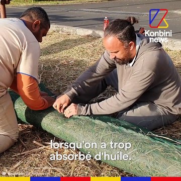 Île Maurice : un mouvement citoyen contre la marée noire