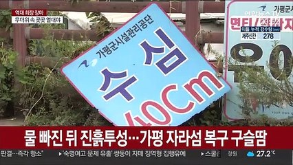 물 빠진 뒤 진흙투성…가평 자라섬 복구 총력