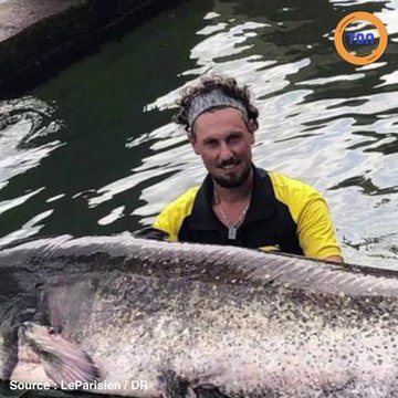 Après 20 minutes de combat, il sort un silure de 2,43m et 90kg de la Seine