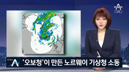 “기상청 못 믿어”…미국·유럽 기상 정보 찾는 사람들
