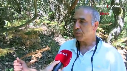 Şile'de denize giren iki kardeş boğuldu