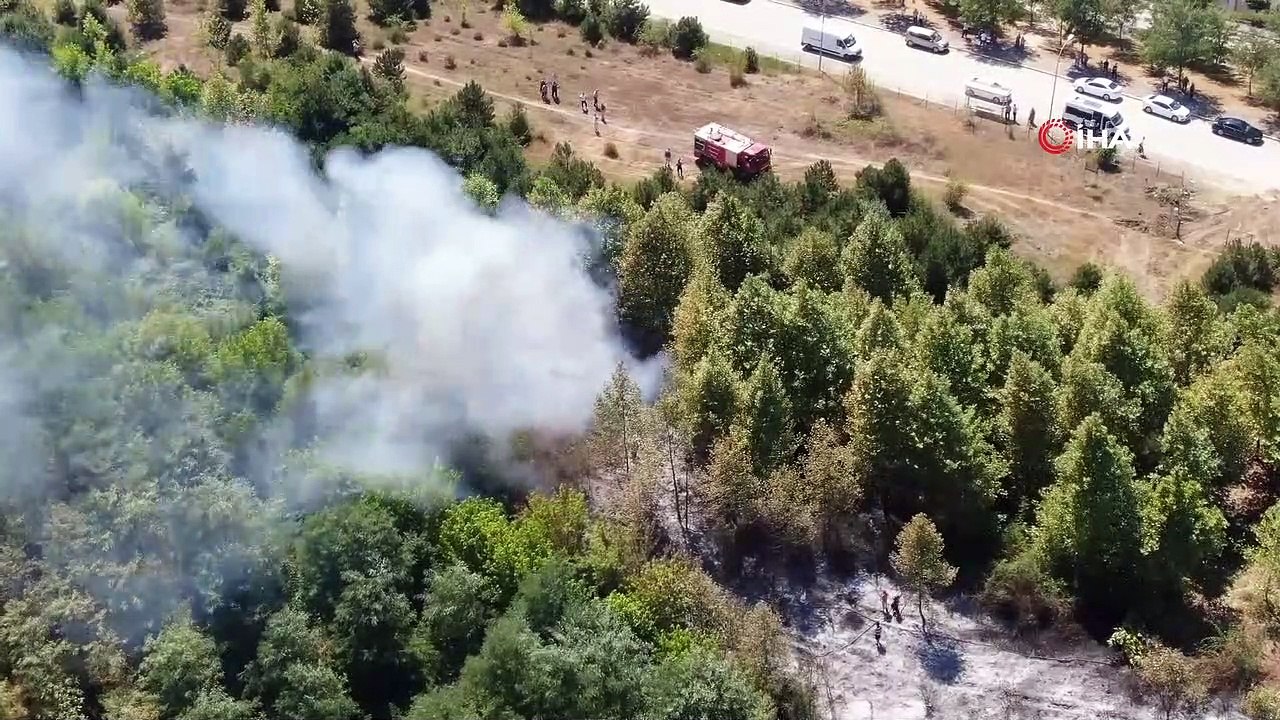 Düzce’de orman yangını: 4 hektar alan kül oldu