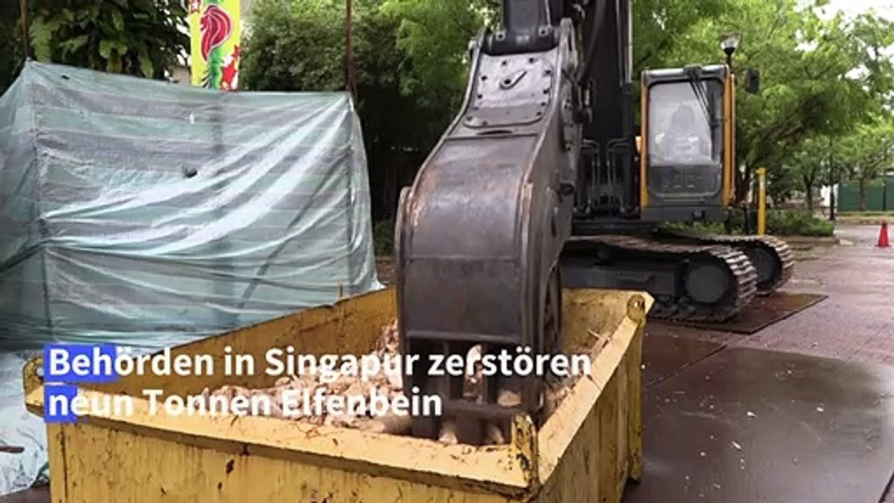 Neun Tonnen Elfenbein zum Weltelefantentag zerstört