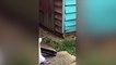 'Small cat-sized' rats overrun house in Milton Keynes