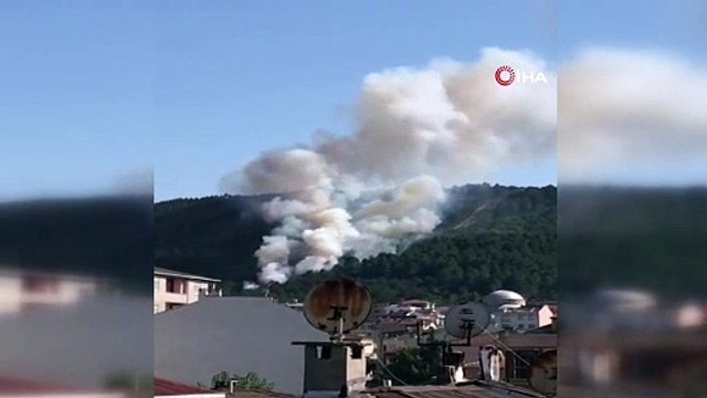 Aydos Ormanı'nda yangın çıktı