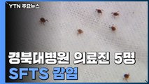 경북대병원 의료진 5명 SFTS 양성...