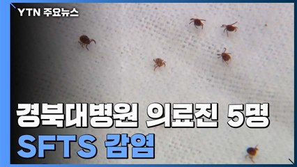 경북대병원 의료진 5명 SFTS 양성..."심폐소생술 중에 감염 추정" / YTN