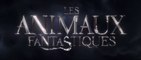 LES ANIMAUX FANTASTIQUES (2016) Bande Annonce VF - HD