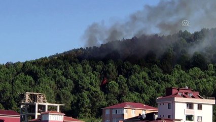 Aydos Ormanı'nda yangın (2) - İSTANBUL